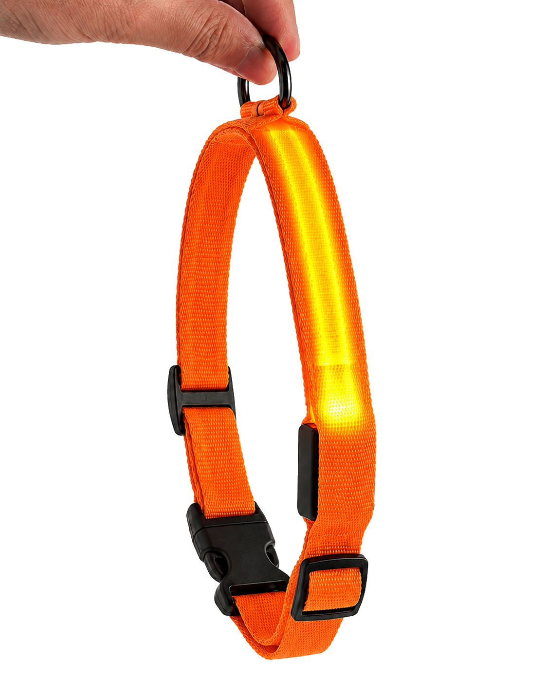 Collar Luminoso LED naranja, vista del producto