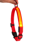 Collar Luminoso LED rojo, vista del producto